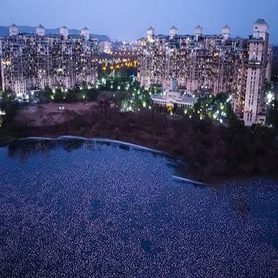 Nerul